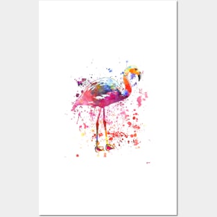 Flamingo Posters and Art